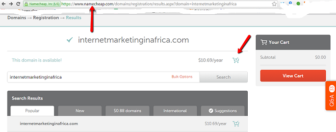 register a domain name in Africa